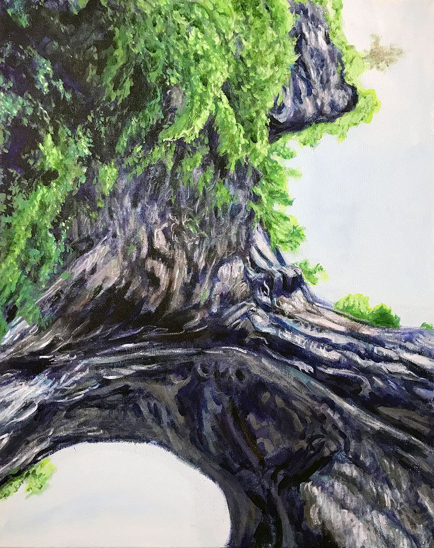 Beneath Natural Bridge 3